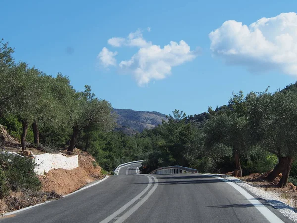 Un camino entre los olivares en la isla griega de Tasos — Foto de Stock