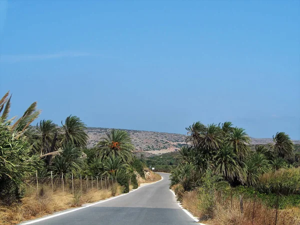 La isla griega de Creta, un camino de asfalto a la playa de la fecha de Vai . — Foto de Stock
