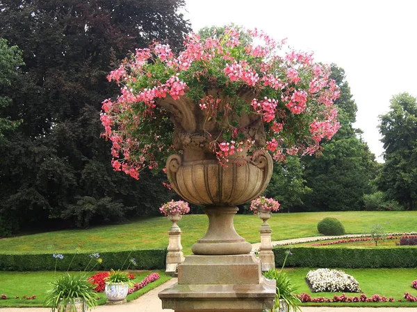 Geranios Lancut, parque, jardín, flor, maceta, decoración, rosa, ver composición . —  Fotos de Stock