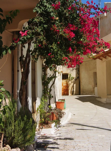 Sitia Dorf Auf Der Griechischen Insel Beton — Stockfoto