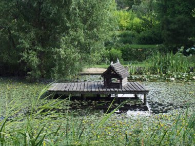 Botanik Bahçesi, yaz saati gölde, doğa.