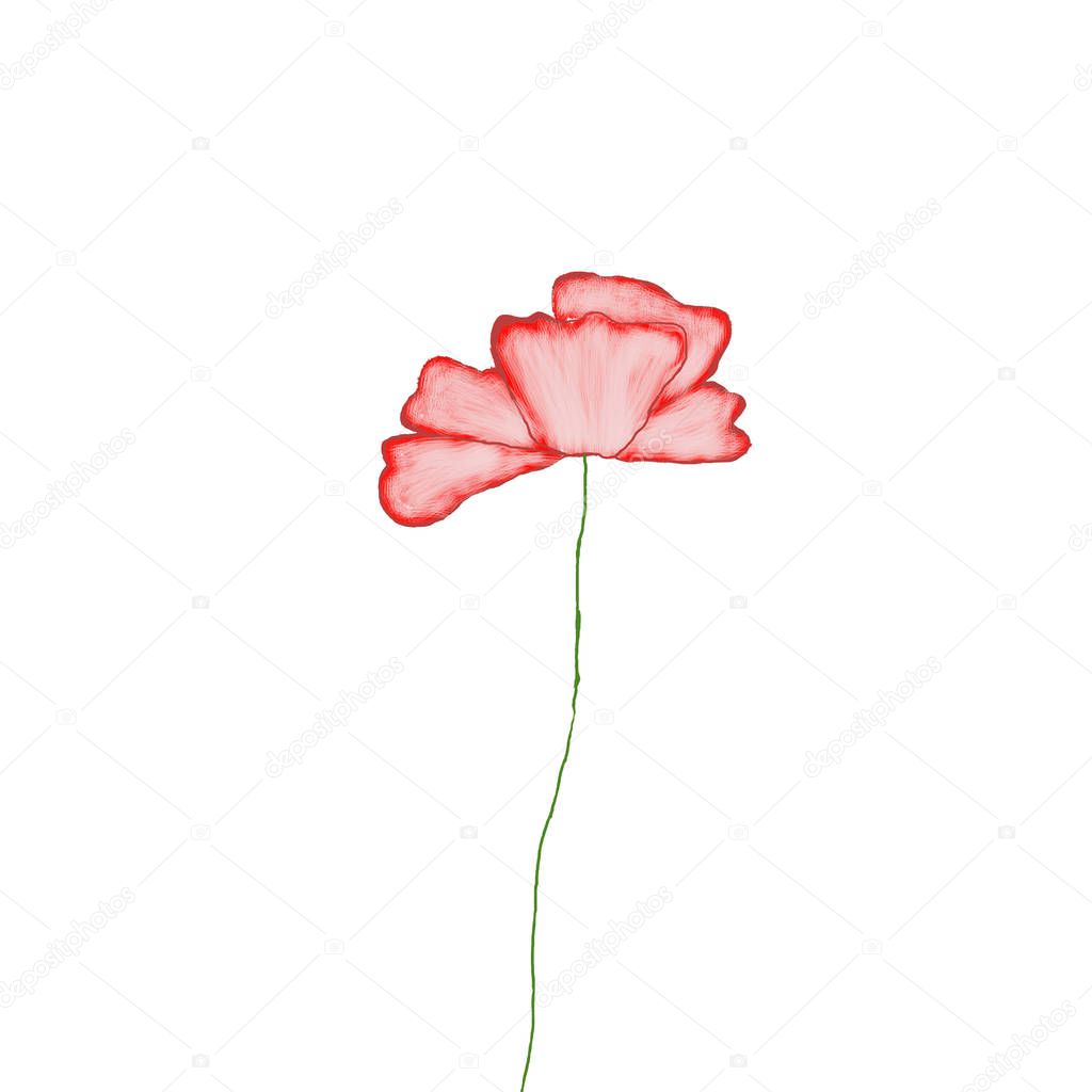 Red poppy on a white background, cartoon, illustration, mason.