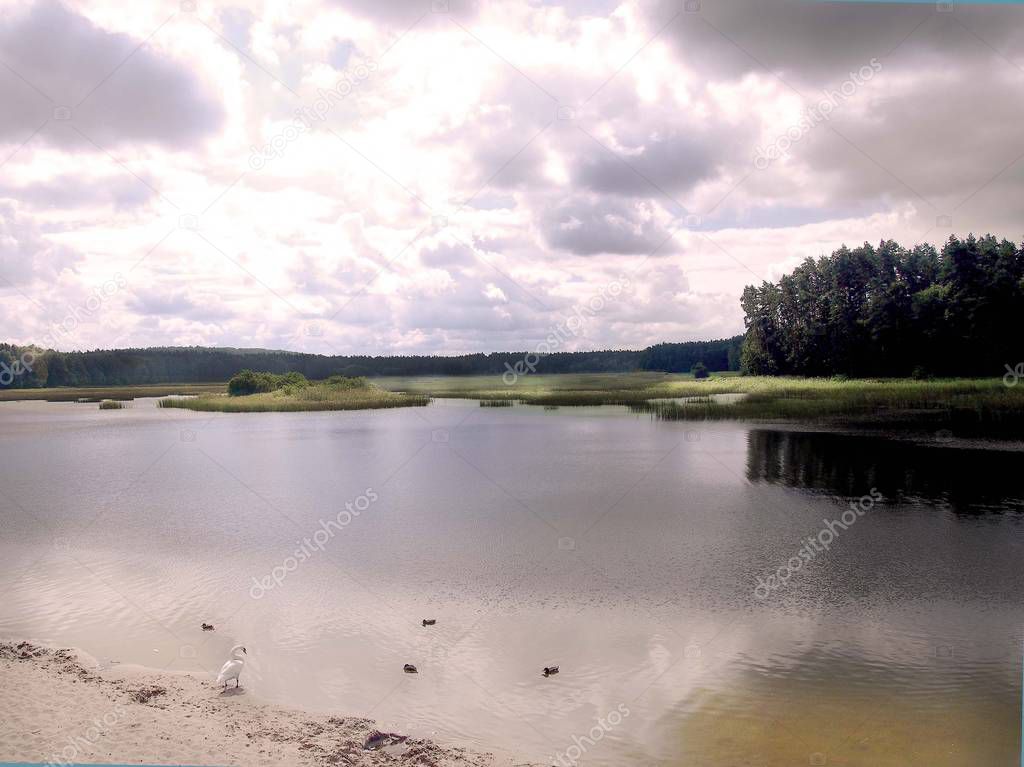 A natural beautiful Polish landscape by the lake in Zwierzyniec.