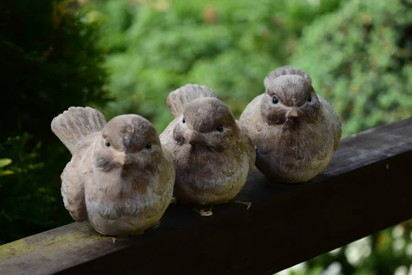 Garden Decoration Three Birds Sitting Wooden Beam — Stock Photo, Image