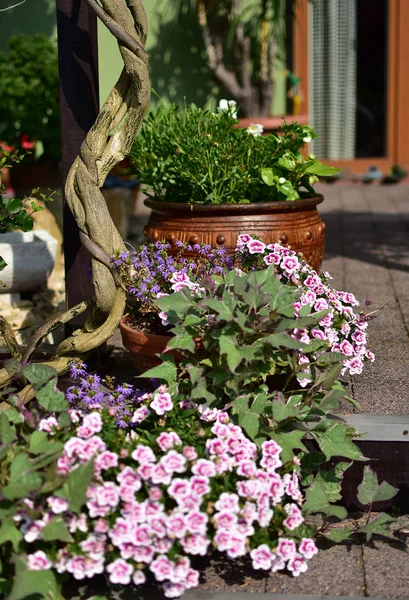 鉢や花壇 テラス バルコニー 紙や階段で花の庭の装飾 — ストック写真