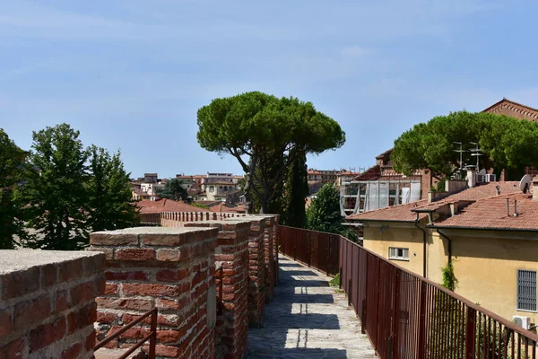 Піза Італія Розглядає Архітектуру Міста Житлові Будинки Дахи Стіни — стокове фото