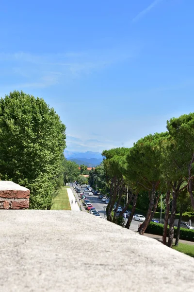 Pisa Italy View City Architecture Tenement Houses Roofs Walls — 스톡 사진