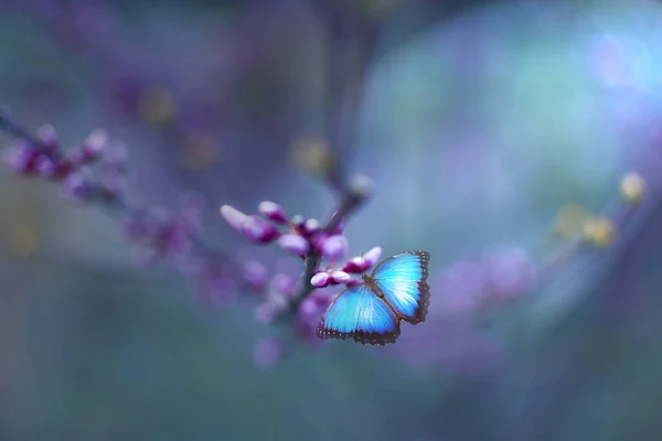 Papillon Bleu Perché Sur Une Fleur Rose Aux Couleurs Pastel — Photo