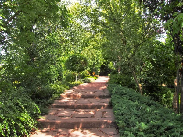 Longo Caminho Entre Árvores Verdes Arbustos Jardim Show — Fotografia de Stock