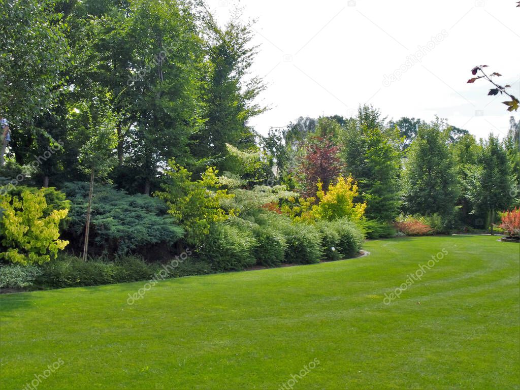 A large discount with trees and shrubs in the show garden.