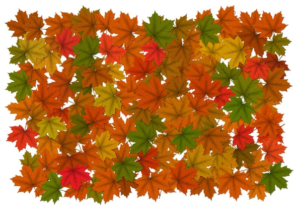 Fond d'automne avec des feuilles d'érable — Photo