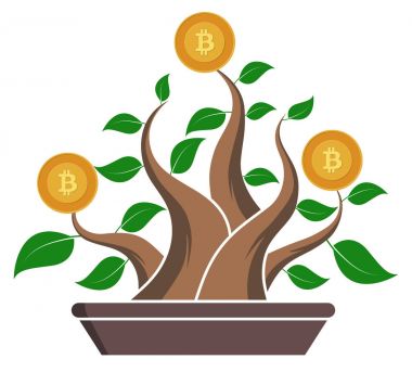 Bonsai, bitcoin para biriminin yavaş büyüme