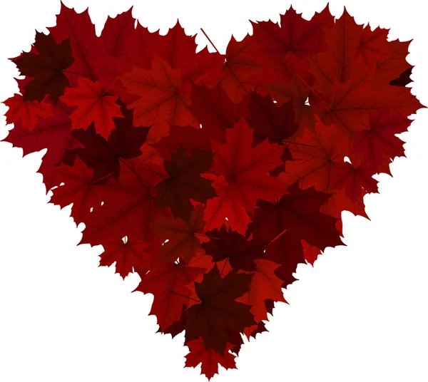 Coeur de feuilles d'érable rouge — Photo
