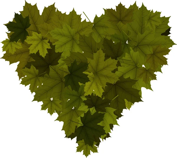 Coeur de feuilles d'érable vertes — Photo