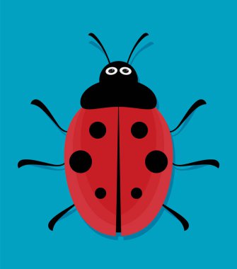 renkli uğur böceği böcek. vektör çizim