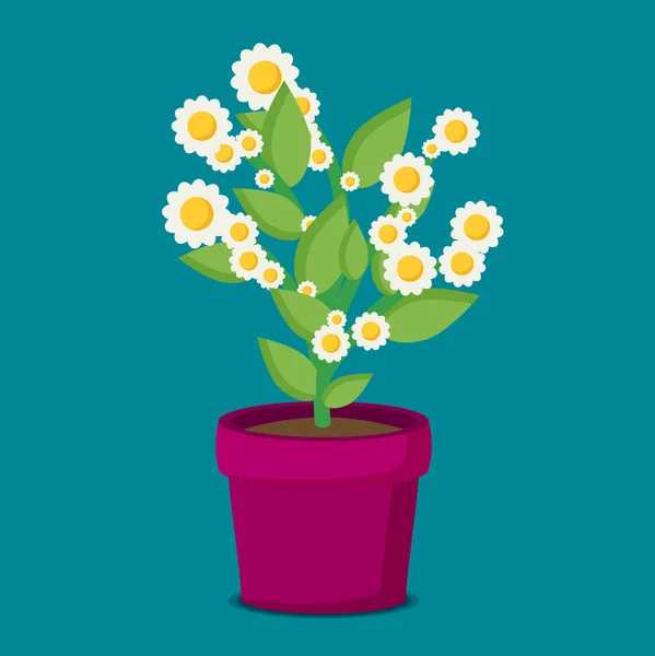 Flor florescente em vaso —  Vetores de Stock