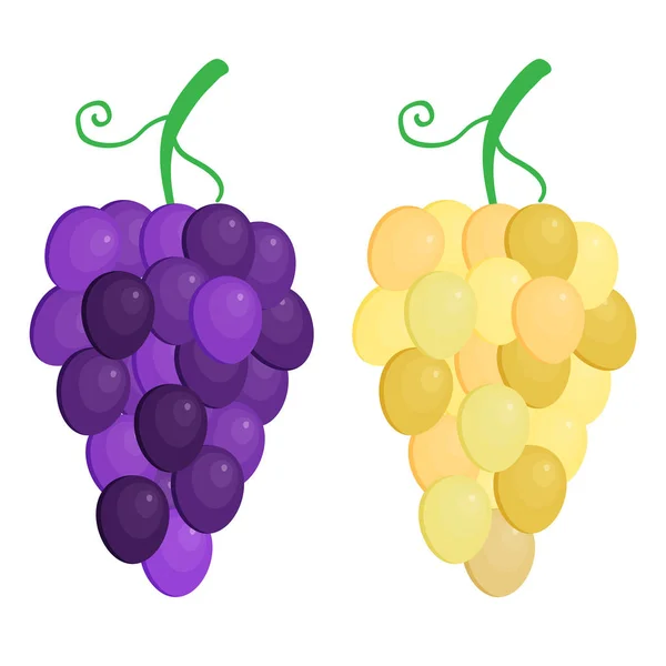 Flat Grapes on white — Stock Vector