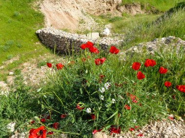 Afganistan Peyzaj ve kırsal