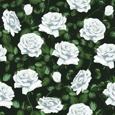 Kesintisiz beyaz gül deseni