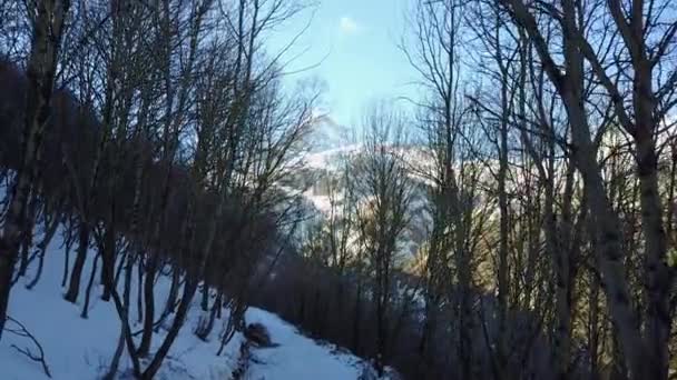 Vista Montanha Kazbek — Vídeo de Stock