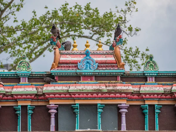 Dva ptáci sedící na střeše v Batu Caves — Stock fotografie