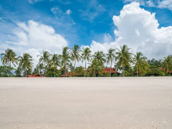 Güzel beyaz kum Beach Resort ve Hindistan cevizi ağacı