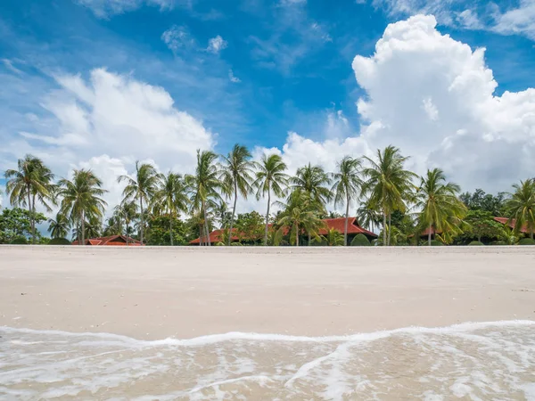 Güzel beyaz kum Beach Resort, Hindistan cevizi ağacı ve dalgalar