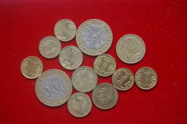 Kazak para sikke tenge  