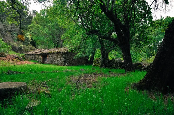 casa de piedra en el bosque