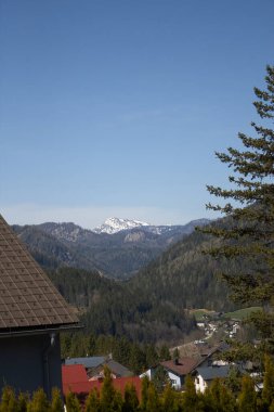 Avusturya 'nın boş bahar caddeleri COVID 19 karantinasında