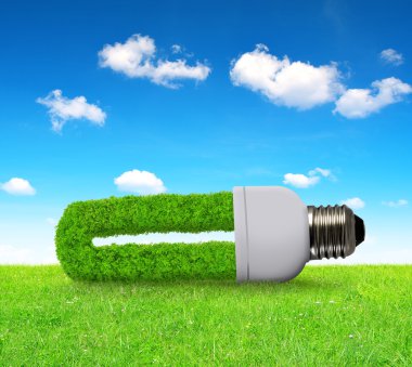 Ampuller çevre çimen