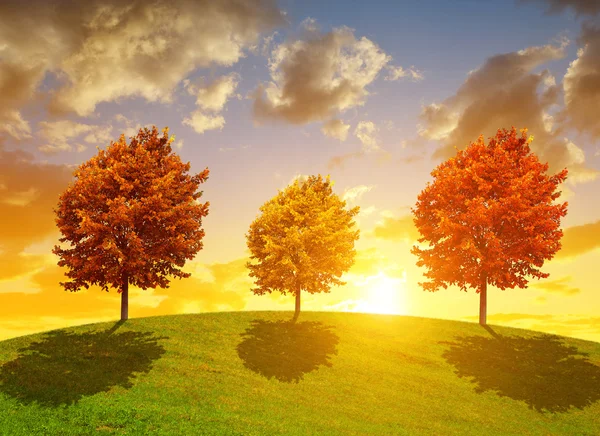 Herbstlandschaft mit bunten Bäumen — Stockfoto