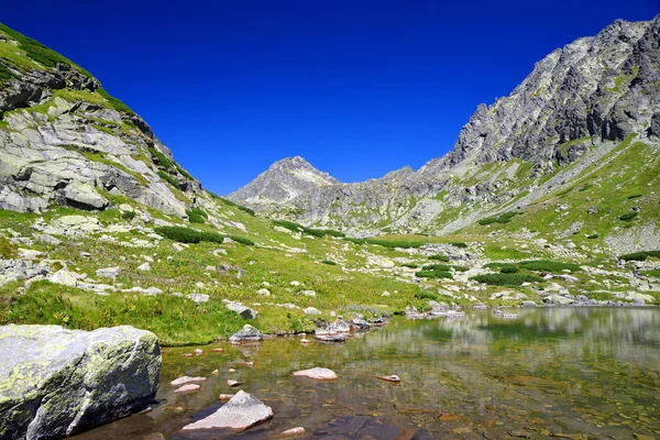 Paysage montagneux dans les Carpates occidentales — Photo