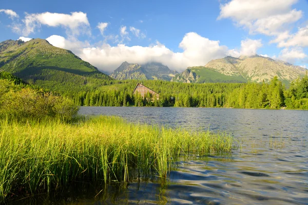 Góry Jezioro Szczyrbskie Jezioro w Parku Narodowym Wysokie Tatry — Zdjęcie stockowe