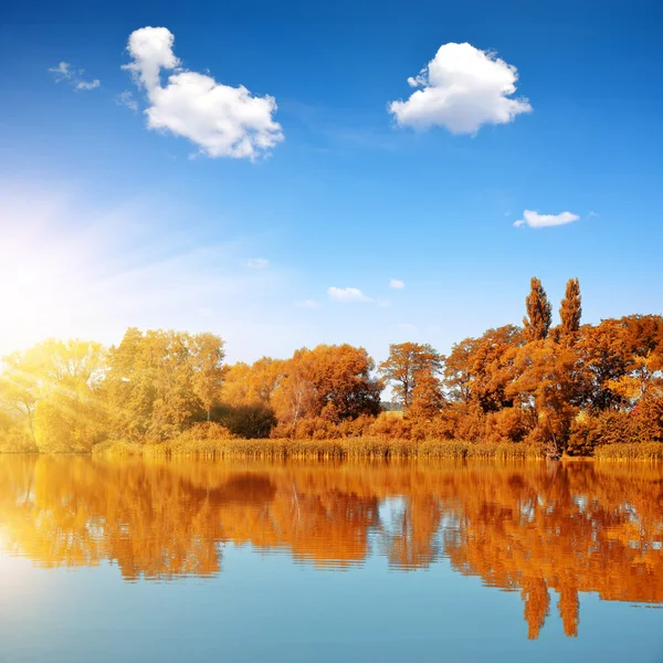 Сонячний день в барвистому осінньому пейзажі — стокове фото
