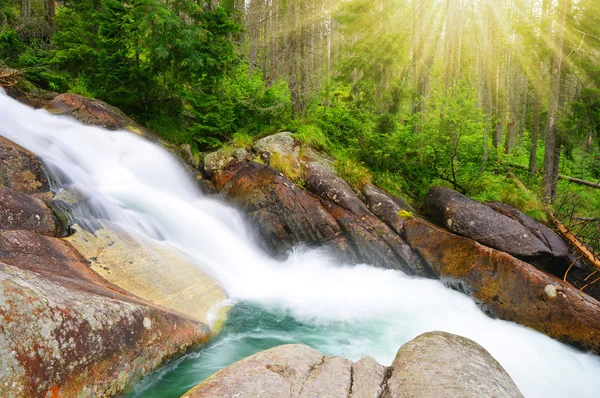 Waterfalls at stream Studeny potok in High Tatras mountains — Stock Photo, Image