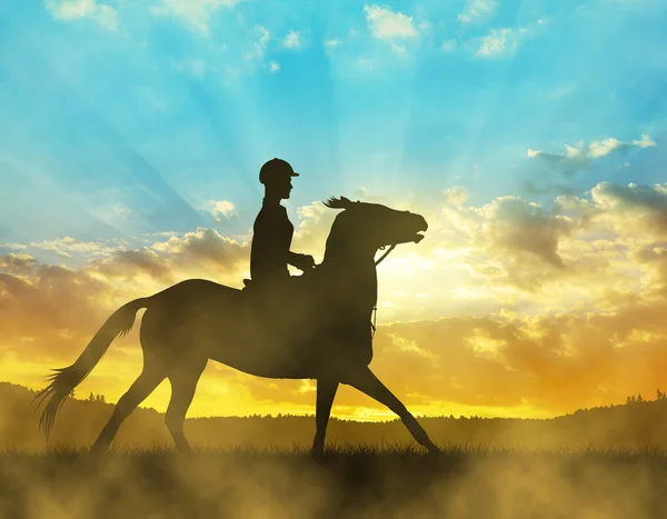 Silhouette of a rider on a horse — Stock Photo, Image