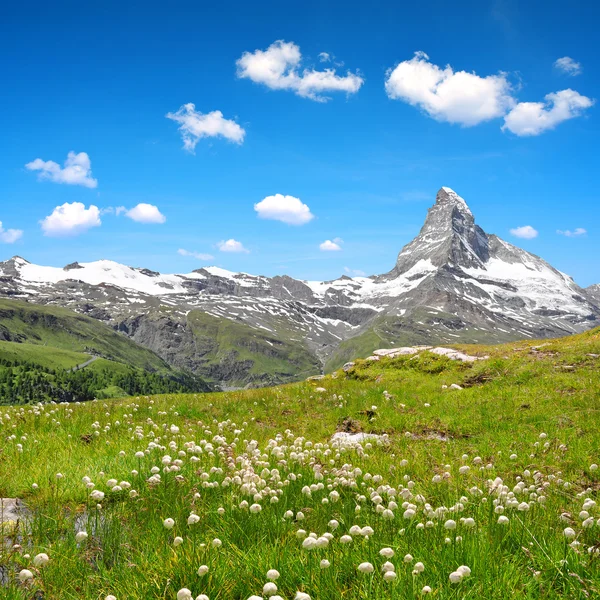 Vedute della montagna Cervino — Foto Stock