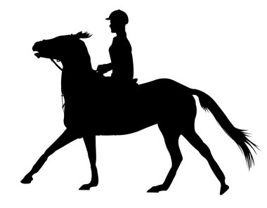 bir binici atlı siluet