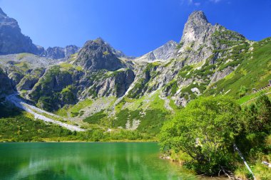 Dağ gölü Zelene pleso Milli Parkı yüksek Tatra içinde. Slovakya, Europe. 