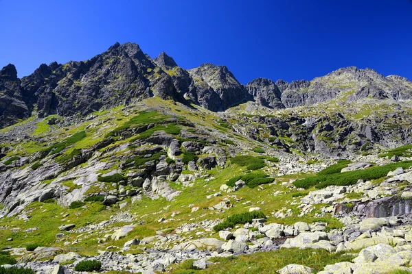 Berglandschaft in den westlichen Karpaten — Stockfoto