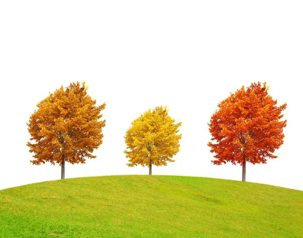 Podzimní krajina s barevnými stromy — Stock fotografie