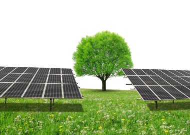 Güneş enerjisi panelleri ve ağaç