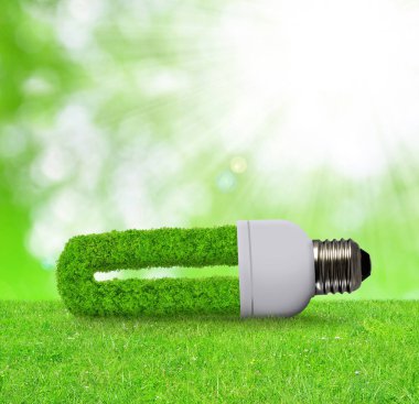 Ampuller çevre çimen