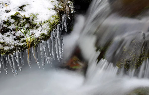 Creek de inverno com icicles — Fotografia de Stock