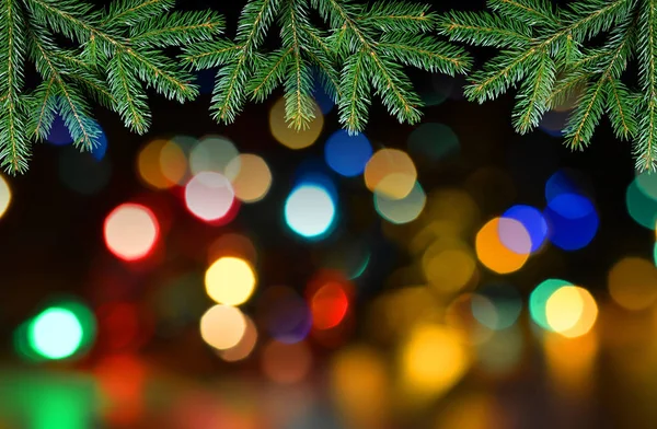 Fir tree branch with colorful lights bokeh. — Stock Photo, Image