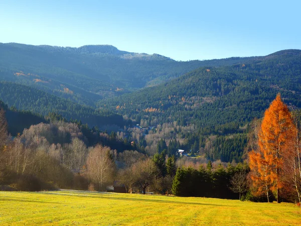 Zobacz w góry Großer Osser. Jesienny krajobraz parku Narodowego Szumawa. — Zdjęcie stockowe
