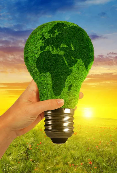 Hand holding ecological light bulb at sunset. — Stock Photo, Image