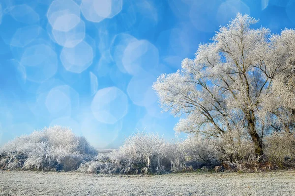 Bellissimo paesaggio invernale — Foto Stock