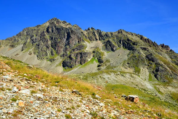 Sommer-Berglandschaft bei Davos — Stockfoto